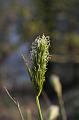 Copy of IMG_0069